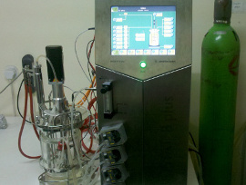 [Bioreactor]