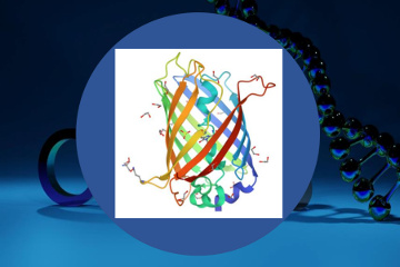 [Biotechnology at FC]