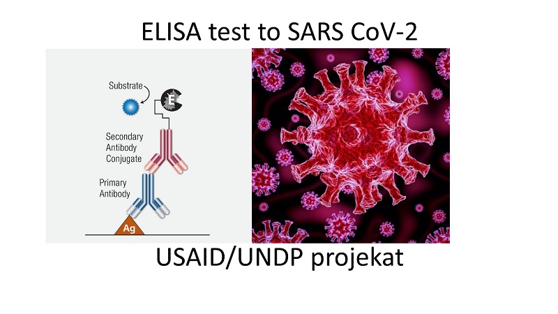 [Graphical project abstract 1]