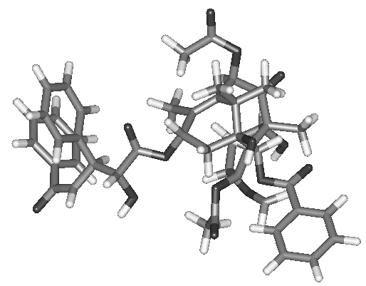 taxol.gif - 47.4 K