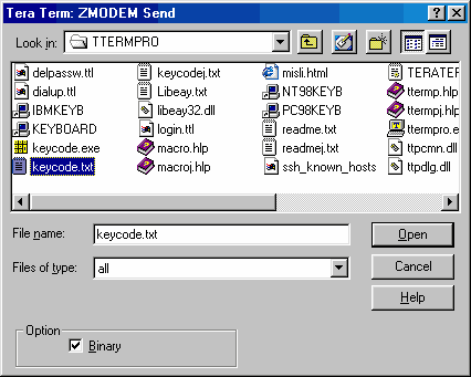 ZMODEM send file choice