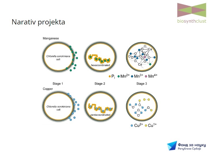 [Graphical project abstract 1]